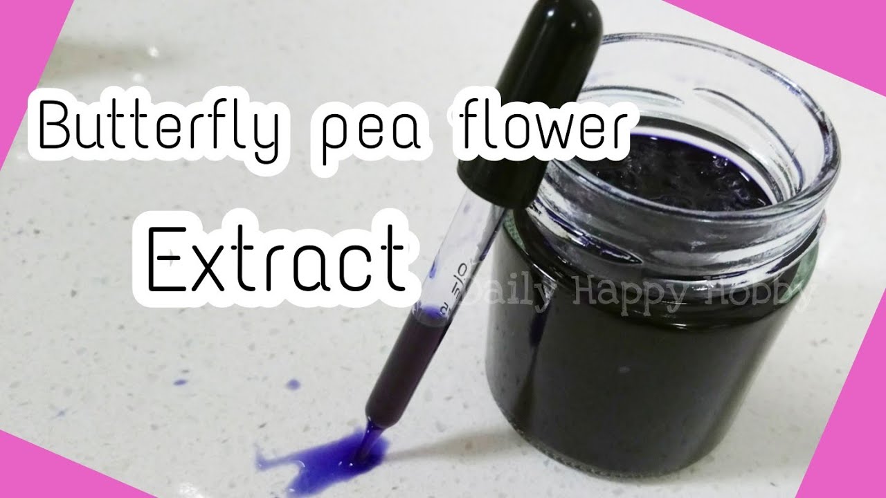 ( Foaming hand wash, Hair serum ) How to make butterfly pea flower extract