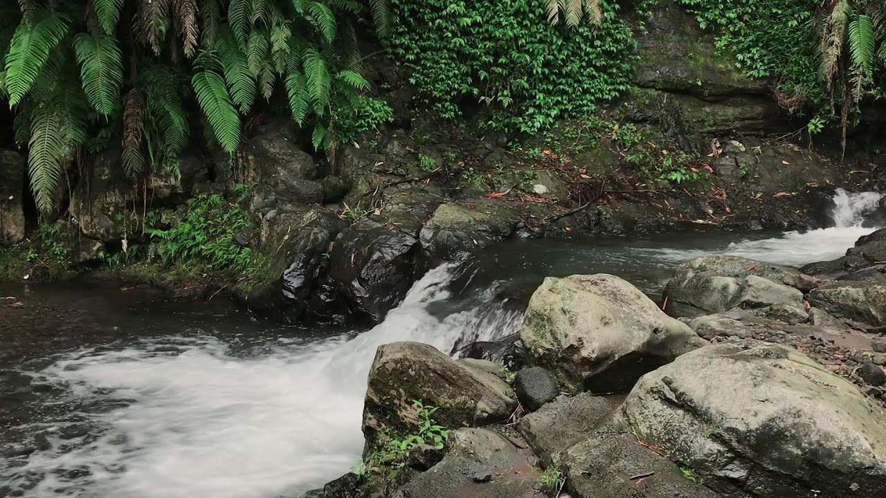 Wilderness Water Atmosphere for Cognitive Performance, Emotional Balance, Massage