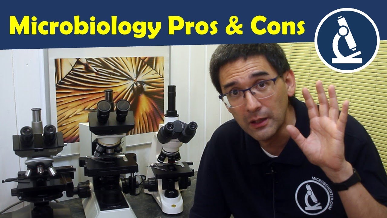 🔬 Pros and Cons of being a microbiologist (study advice)