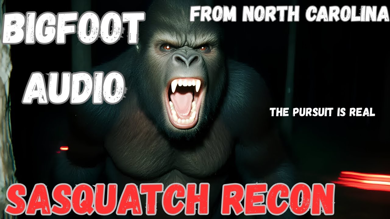BIGFOOT AUDIO NORTH CAROLINA
