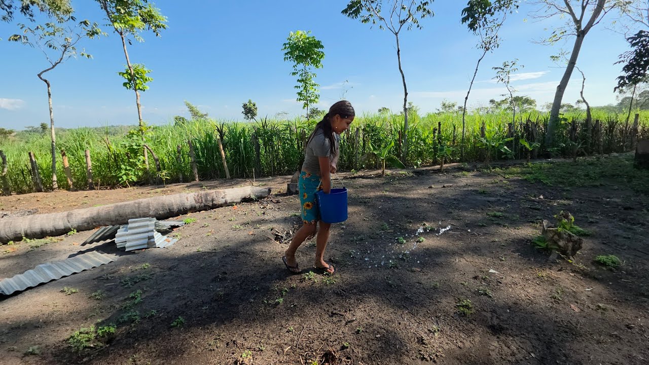 Mariana hija de Tetengo y maili siembra semillas de chipilin en el terreno. 