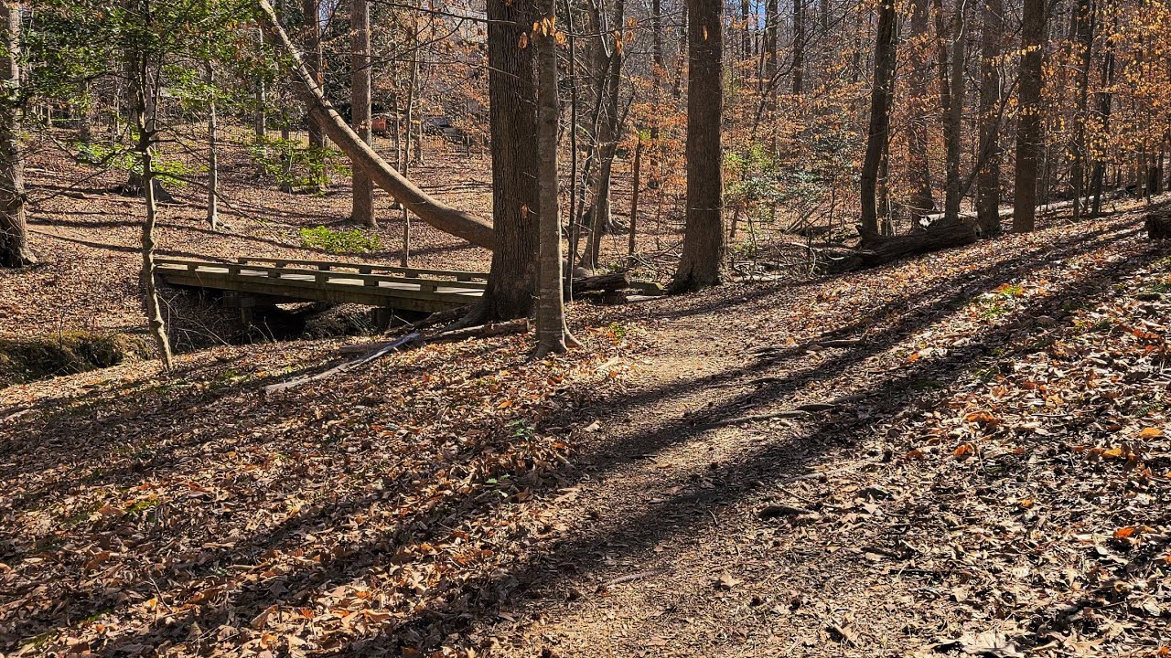 Honeycutt Creek Trail... Continues 