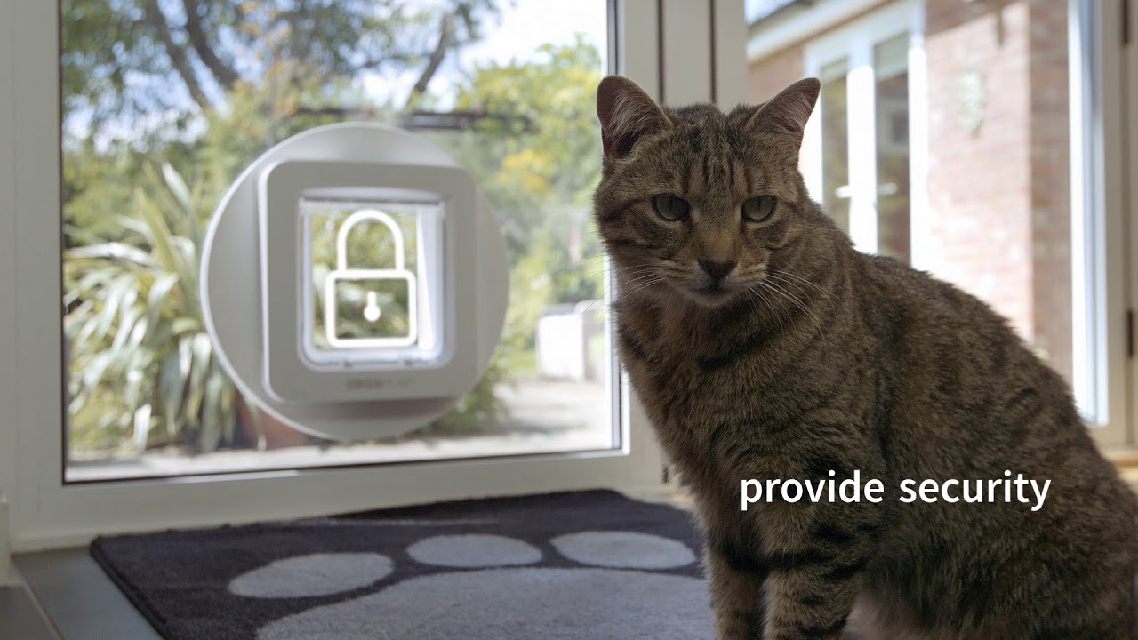 SureFlap Microchip Pet Door Connect