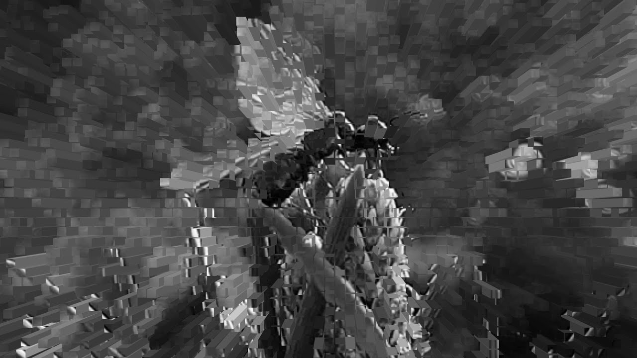 Sourface (The Vinyl Gibbon) [Official Music Video]
