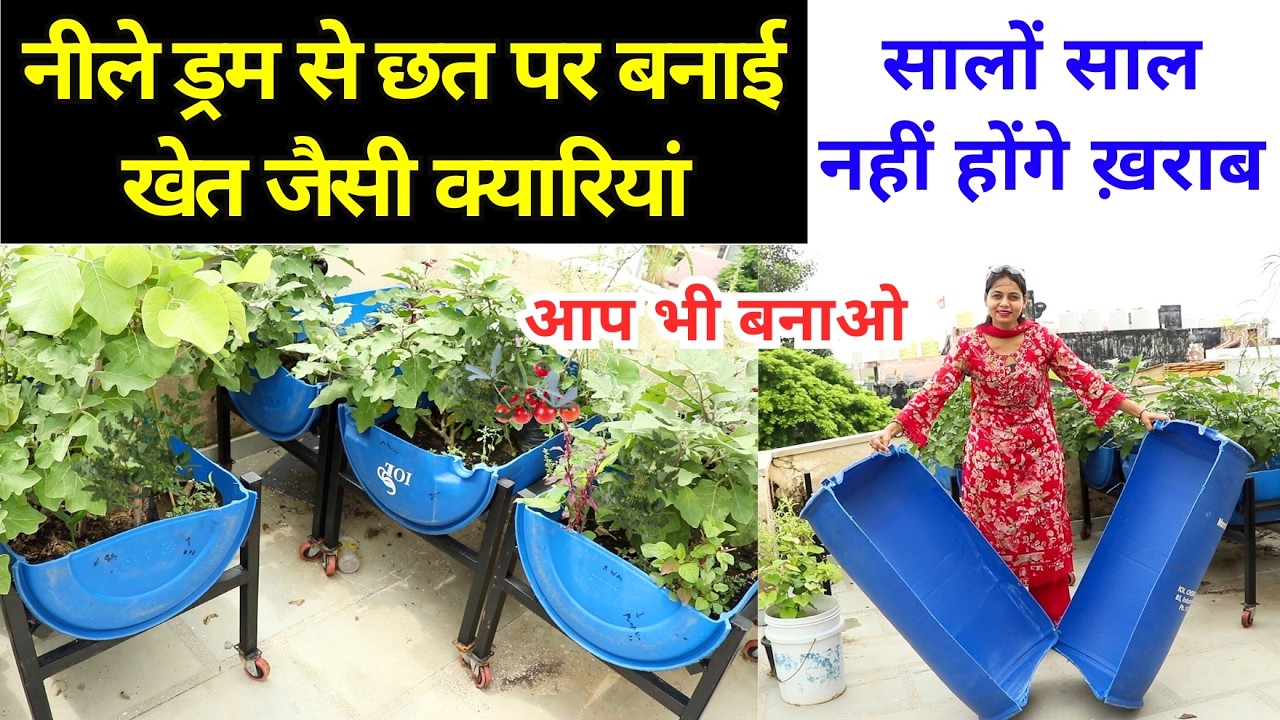 Blue Drum से बनाया बेस्ट किचन गार्डन 😍सब्जियों की हुई भरमार 🥦🥒 Terrace Kitchen Garden