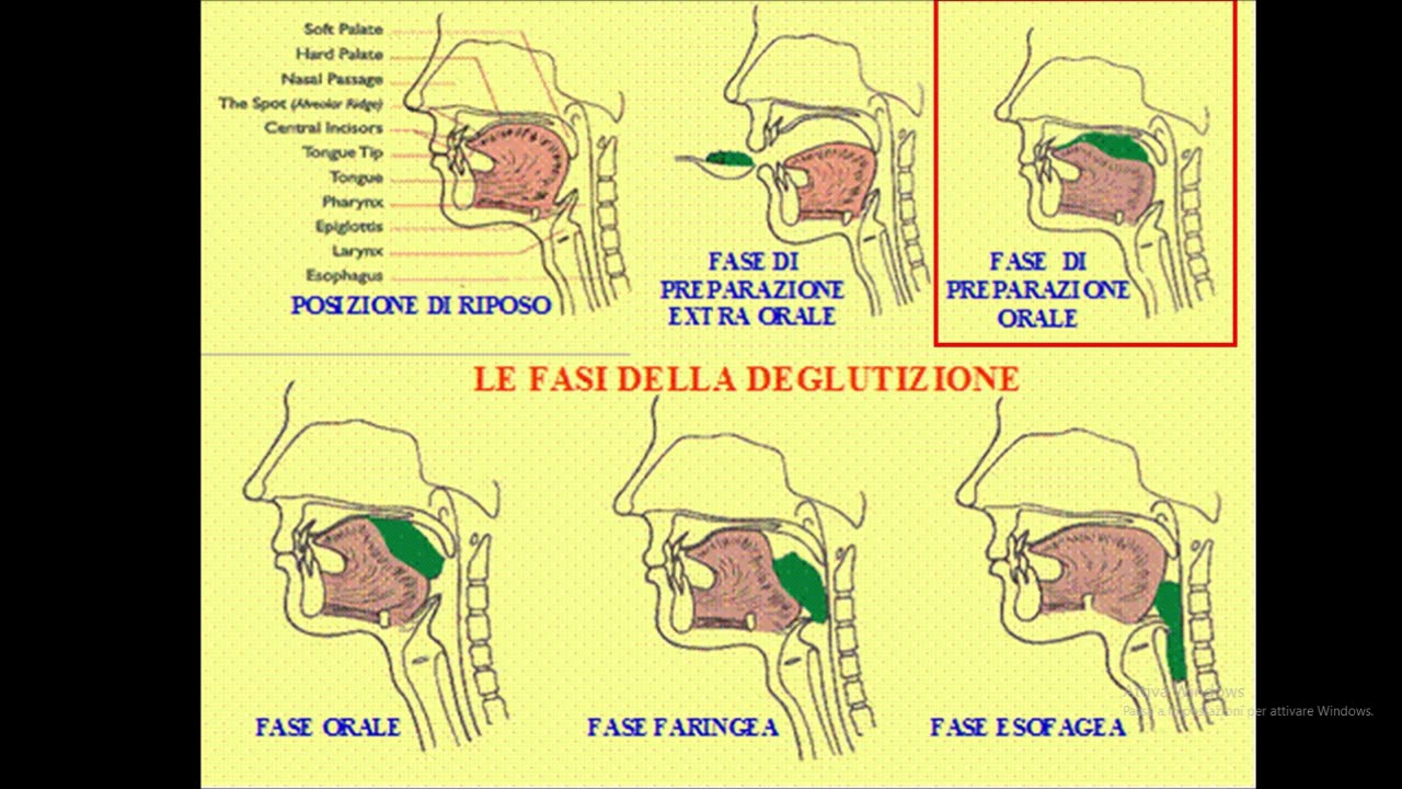 Disabilità delle funzioni vitali di base