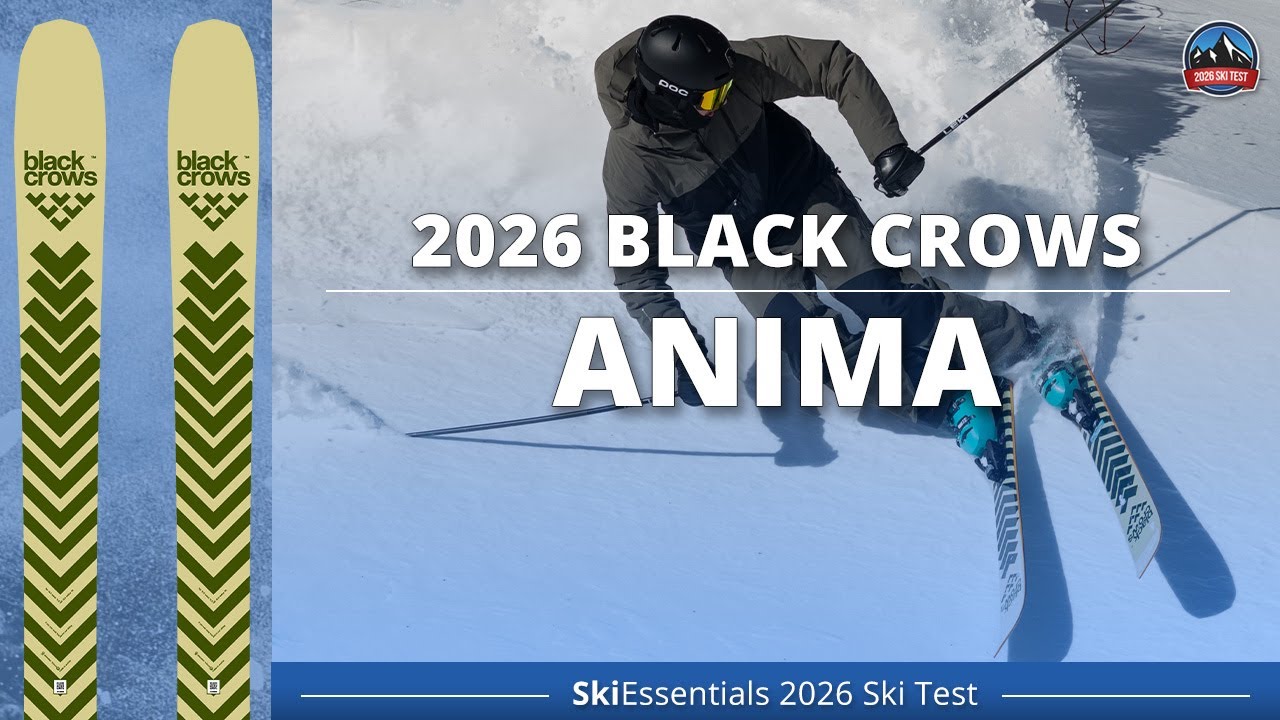 Black Crows Anima 2026 года — обзор лыжного теста SkiEssentials