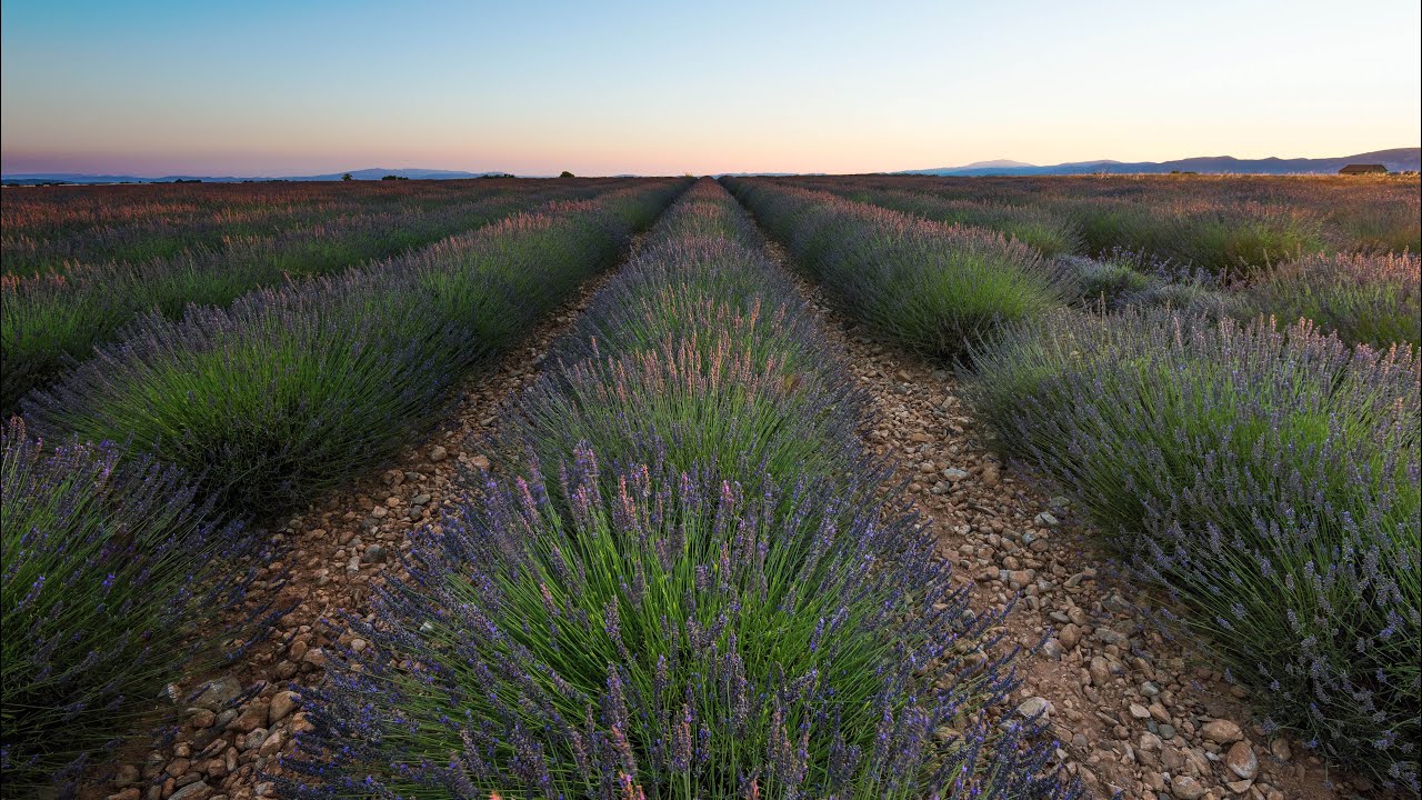 Provence Relaxing Ambience in 4K