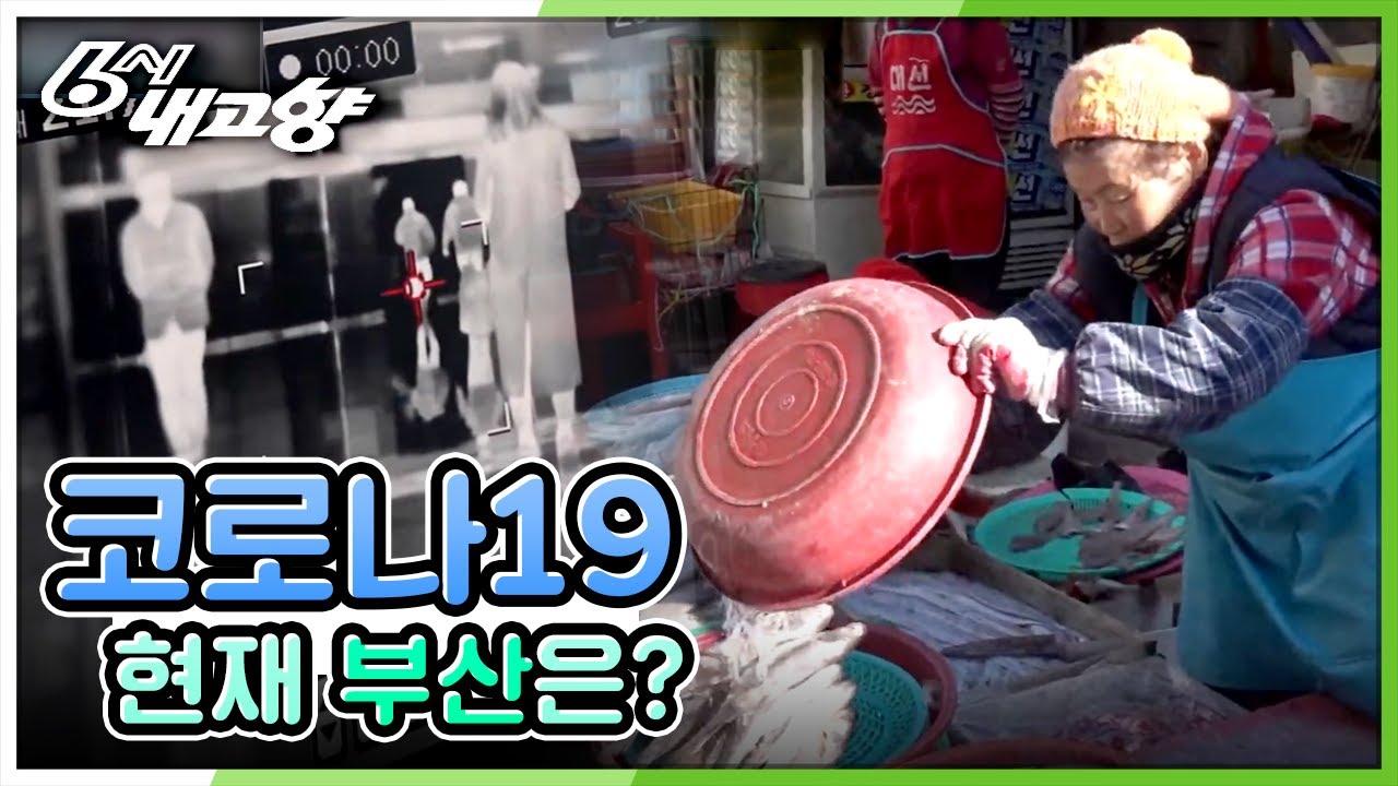 코로나19, 현재 부산은? [6시 내고향] 20200226