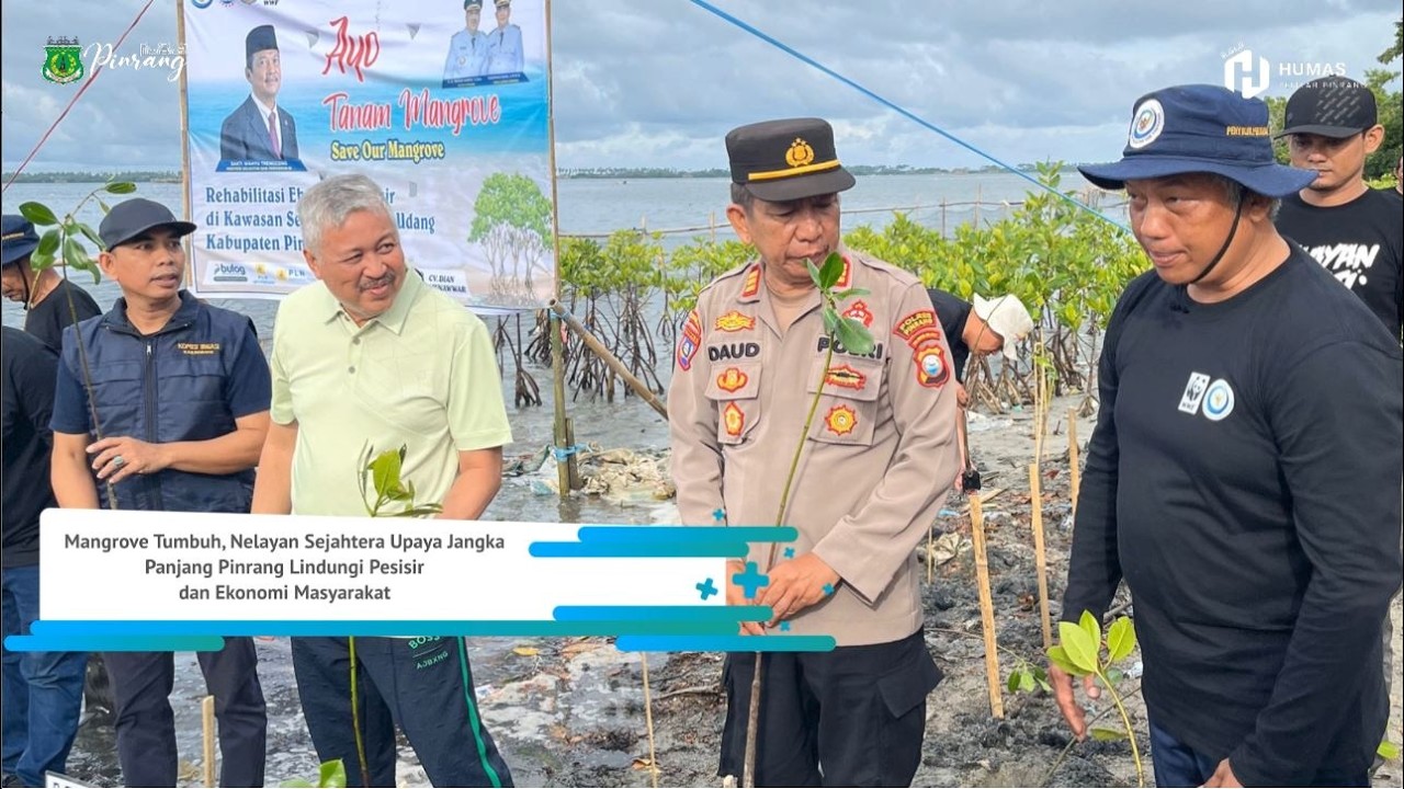 Mangrove Tumbuh, Nelayan Sejahtera : Upaya Jangka Panjang Pinrang Lindungi Pesisir dan Ekonomi