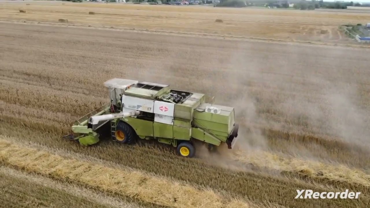 Pszenżyto 2025 #fortschritt #e517 #ddr #johndeere #6310