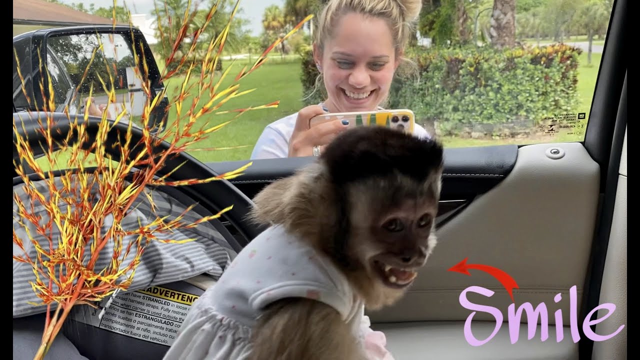 Monkey Smiles when she sees her human Sissy & takes her flowers.