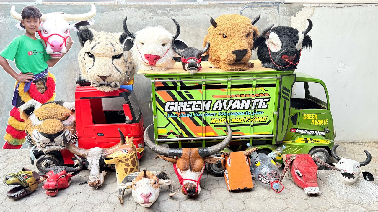wadidaw ADA BANYAK SEKALI BANTENGAN SAPI KURBAN | BARONGAN GALAK | TRUK AKI MINI