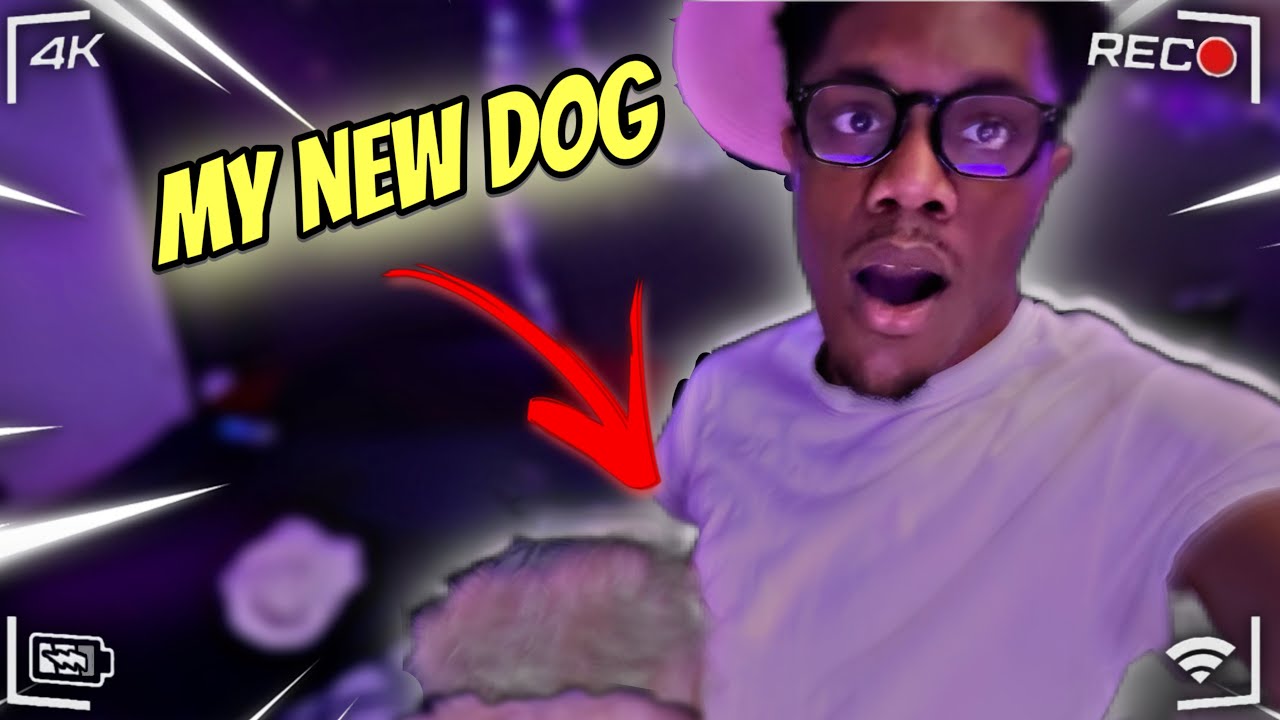 Meet My NEW Dog 🐶