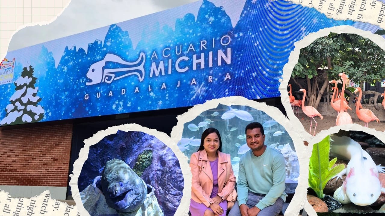 Acuario Michin Guadalajara || Jalisco, Mexico || Bengali Vlog