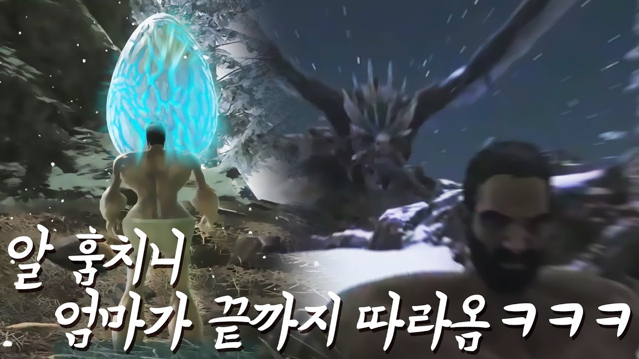 [머독방송] 와이번 알 훔치고 키우기ㅋㅋㅋㅋㅋ