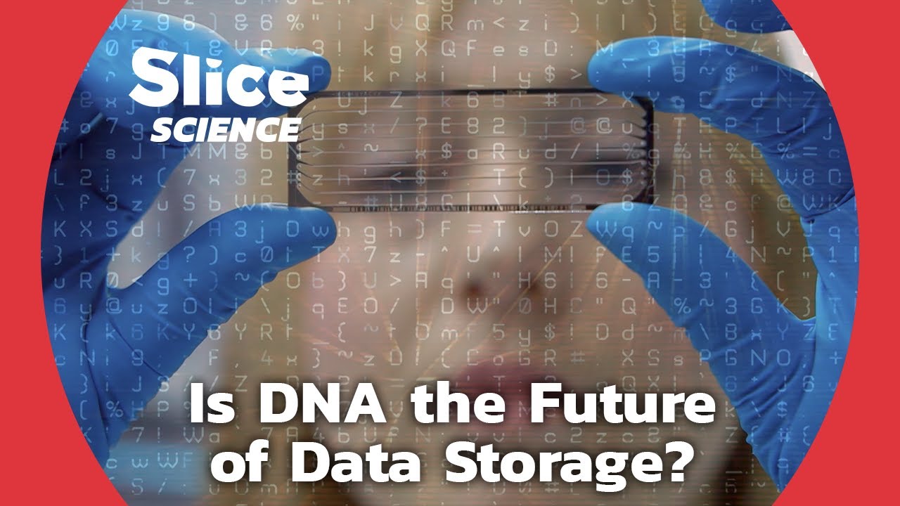 DNA and the Data Deluge: A Revolutionary Solution for Secure Storage | SLICE SCIENCE