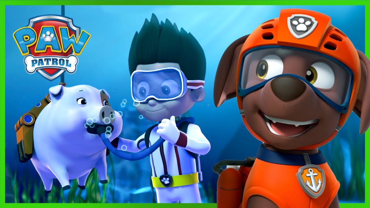 Playful Piggy Problems! 🐷 - PAW Patrol - Cartoons for Kids Compilation