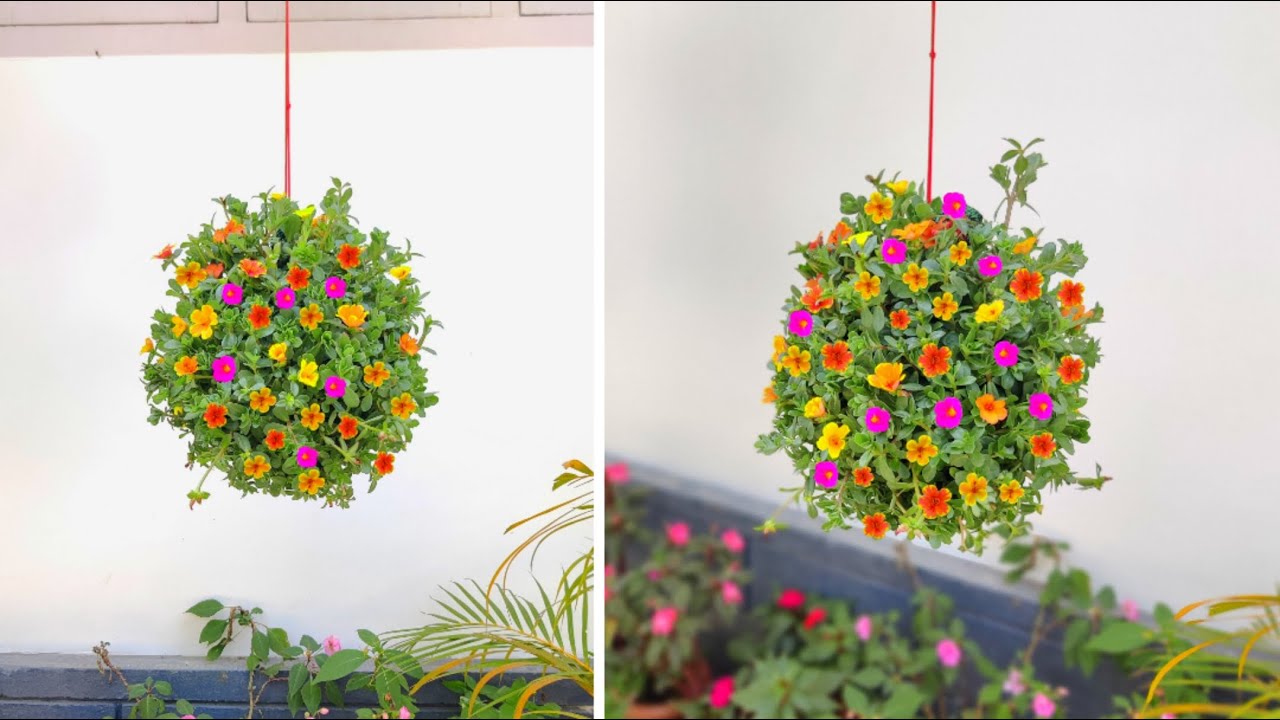 How to make amazing hanging ball | Hanging plant ideas | Hanging planters