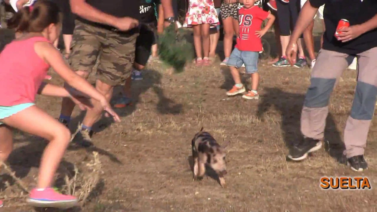 BOHOYO EN FIESTAS 13 14 y 15  AGOSTO 2017