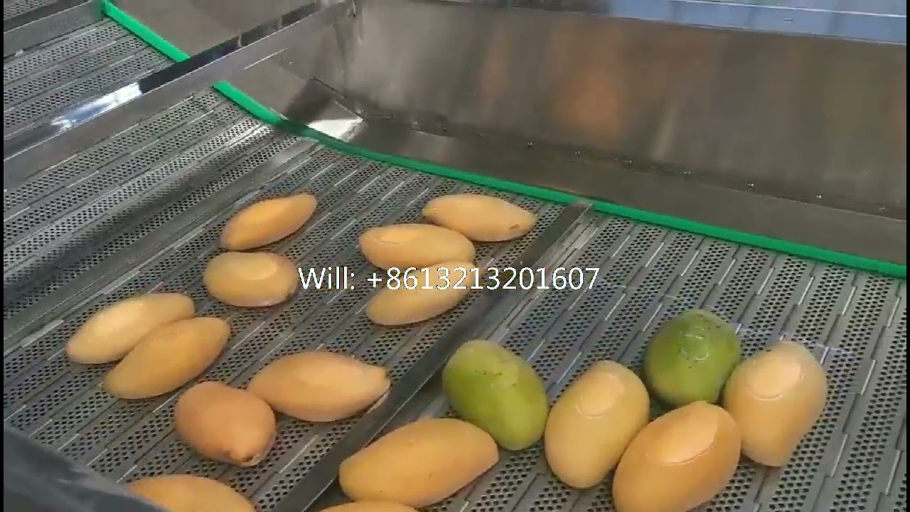 Mango washing and drying production line