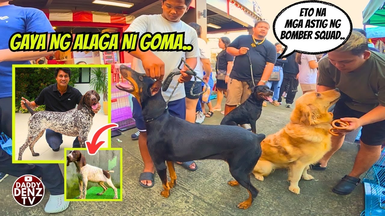 PANG-MALAKASA'NG PARADA NG ASO-SASYON..  / PT2 OCT. 26 @GROTTO PET MARKET