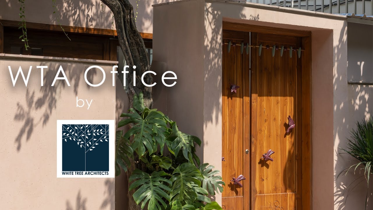 White Tree Architects Office - A Documentary film