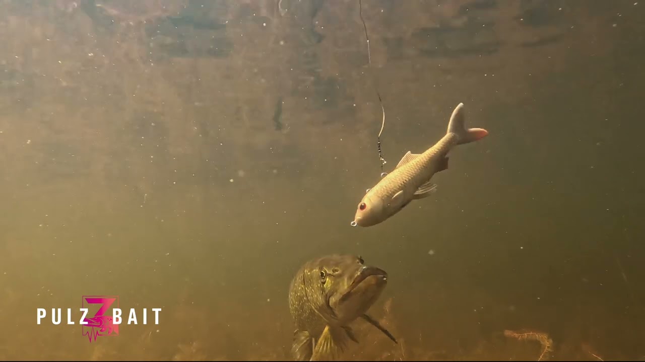 How to - Slow Motion Fishing