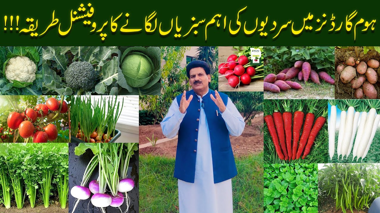 Professional Tips For Growing Top Winter Vegetables In Home Gardens !!!