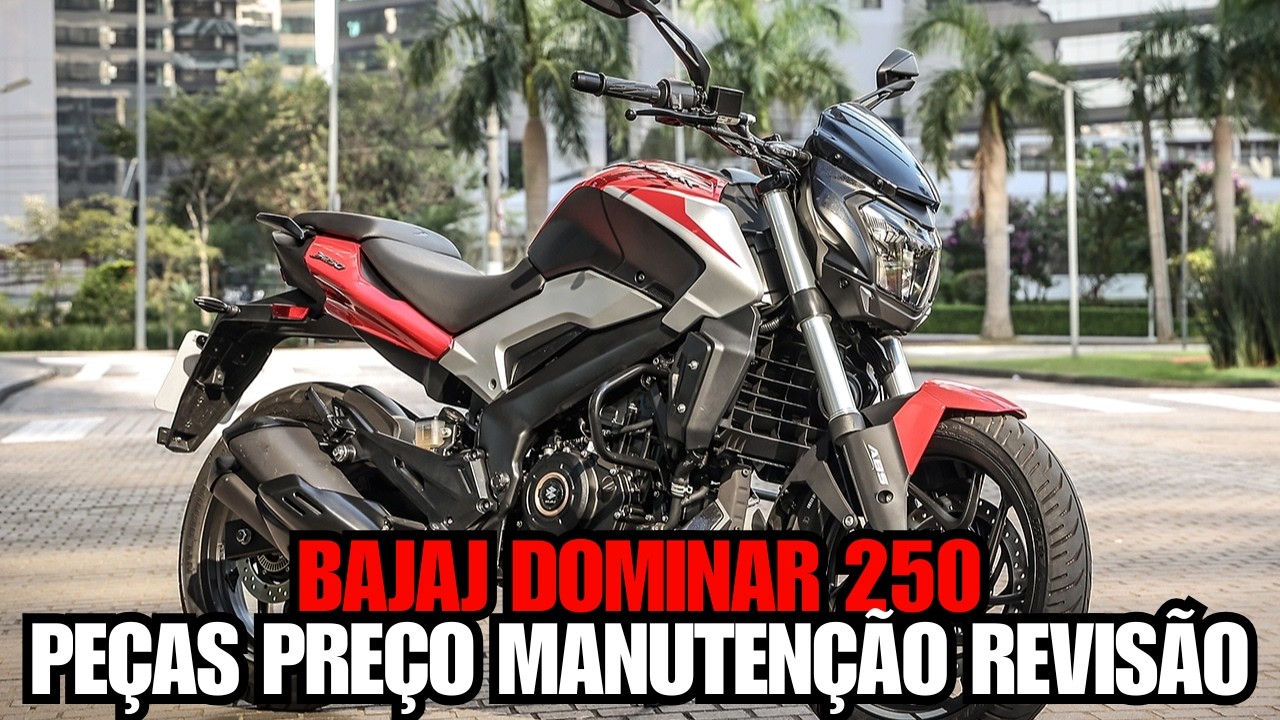BAJAJ DOMINAR 250 TEM MUITOS DEFEITOS OU É COMPRA CERTEIRA? PEÇAS FICHA TECNICA PREÇO REVISÃO!