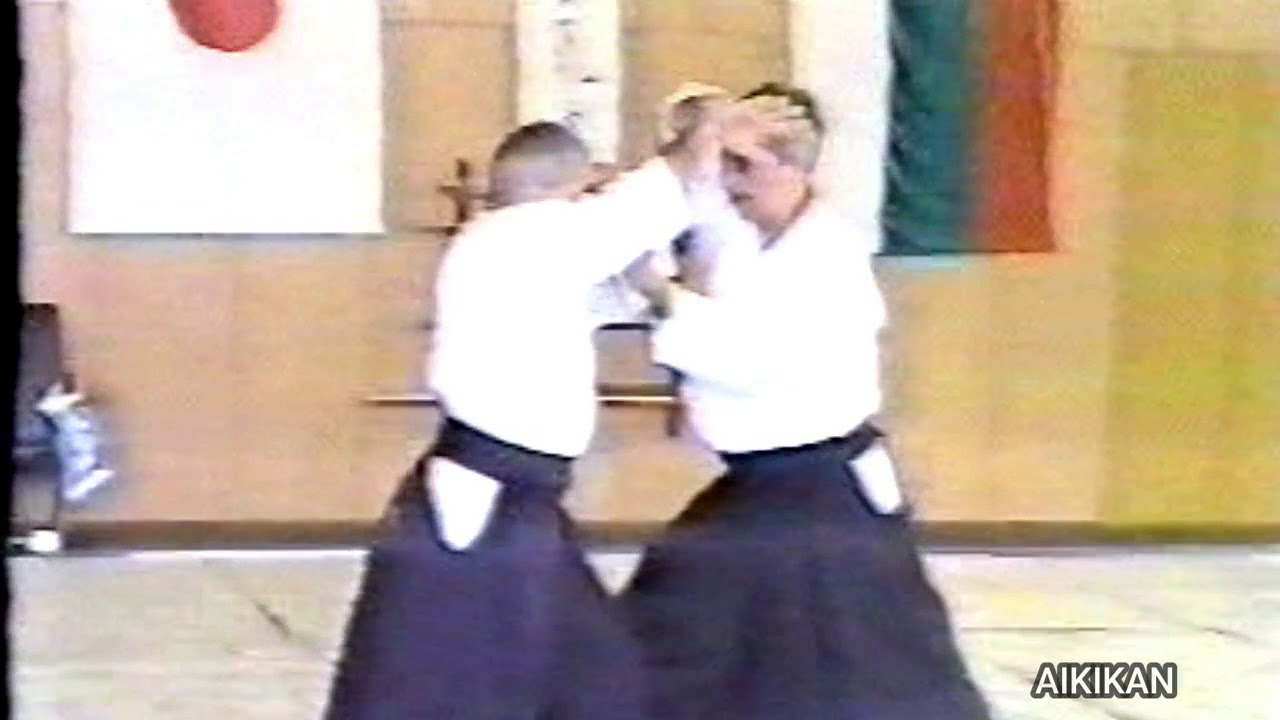 Aikido, Terry Ezra Shihan