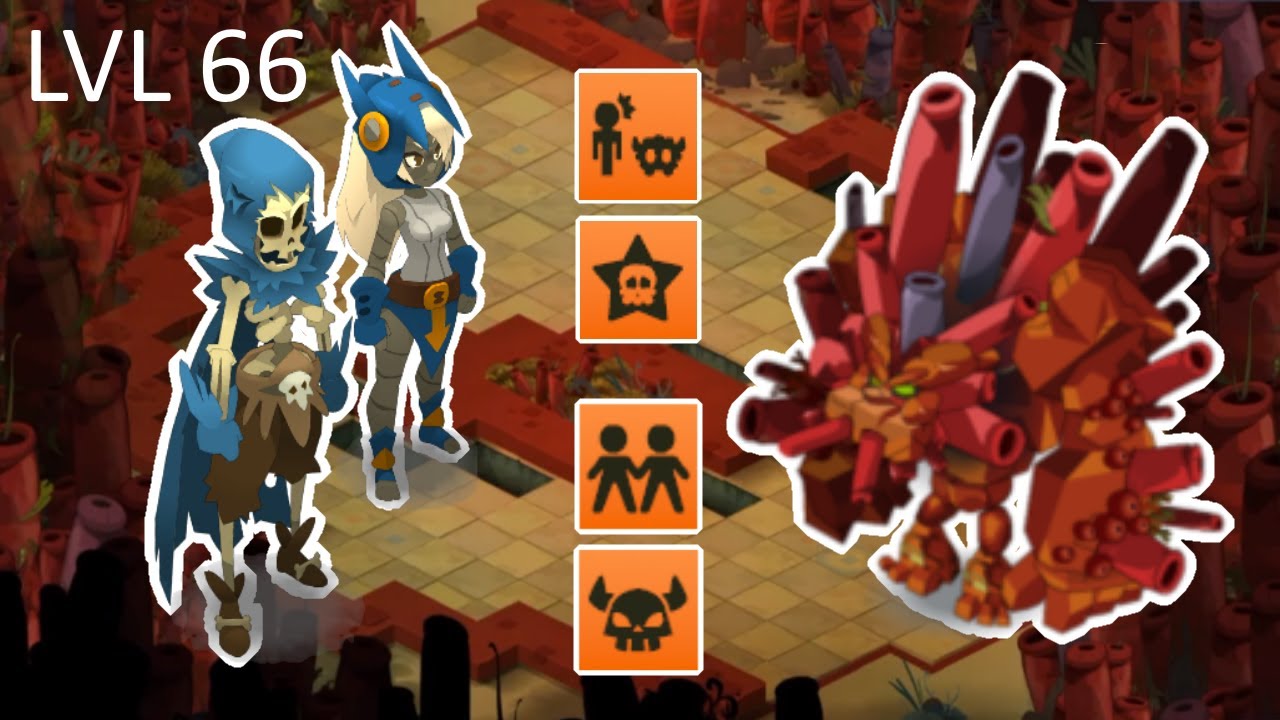 Corailleur Full Succès - LVL 66 - Xelor Sram