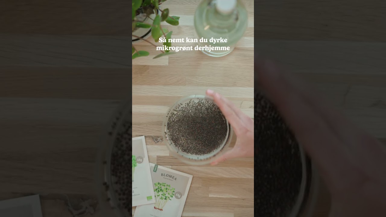 Dyrk mikrogr&oslash;nt &ndash; det er s&aring; nemt! 🌱 Vil du dyrke dit eget gr&oslash;nne boost? Med mikrogr&oslash;nt kan du f&aring; fr