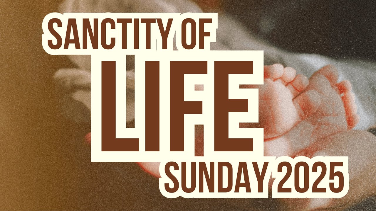 Image of God and Its Implications (Sanctity of Life Sunday 2025)