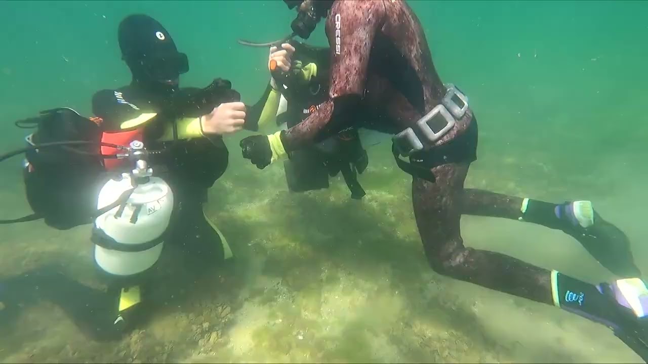 Equipment Exchange DiveMaster Stress Test