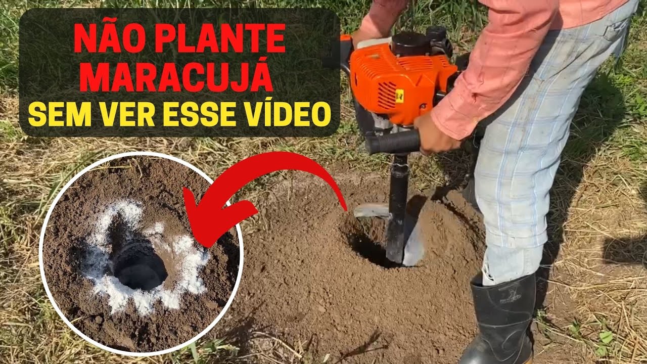 Como preparar a terra pra plantar maracujá - MARACUJÁ DA EMBRAPA GIGANTE AMARELO (GAF1)