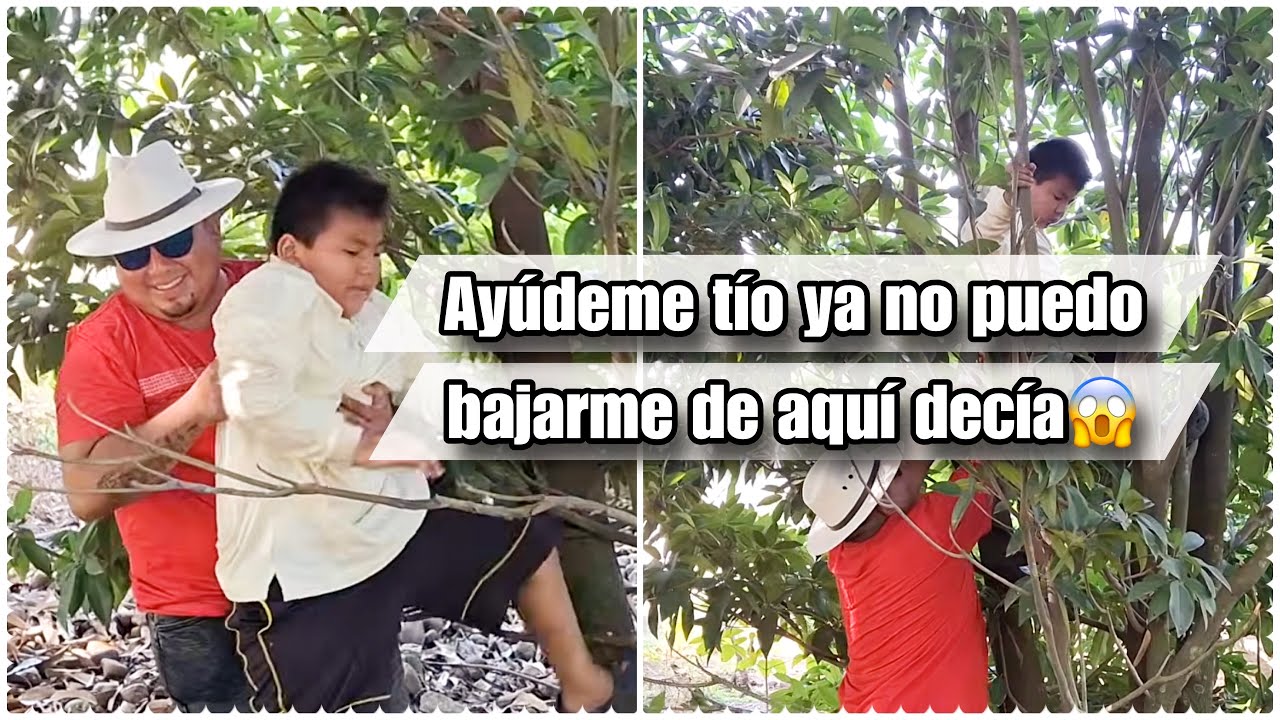 Urgente mi SOBRINO se queda atorado arriba del palo ya no lo podíamos bajar😱