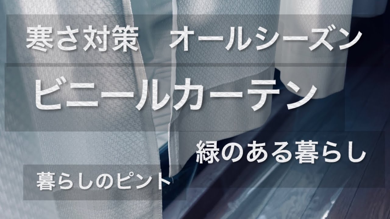 寒さ対策|ビニールカーテン#暮らしのvlog#モンステラ