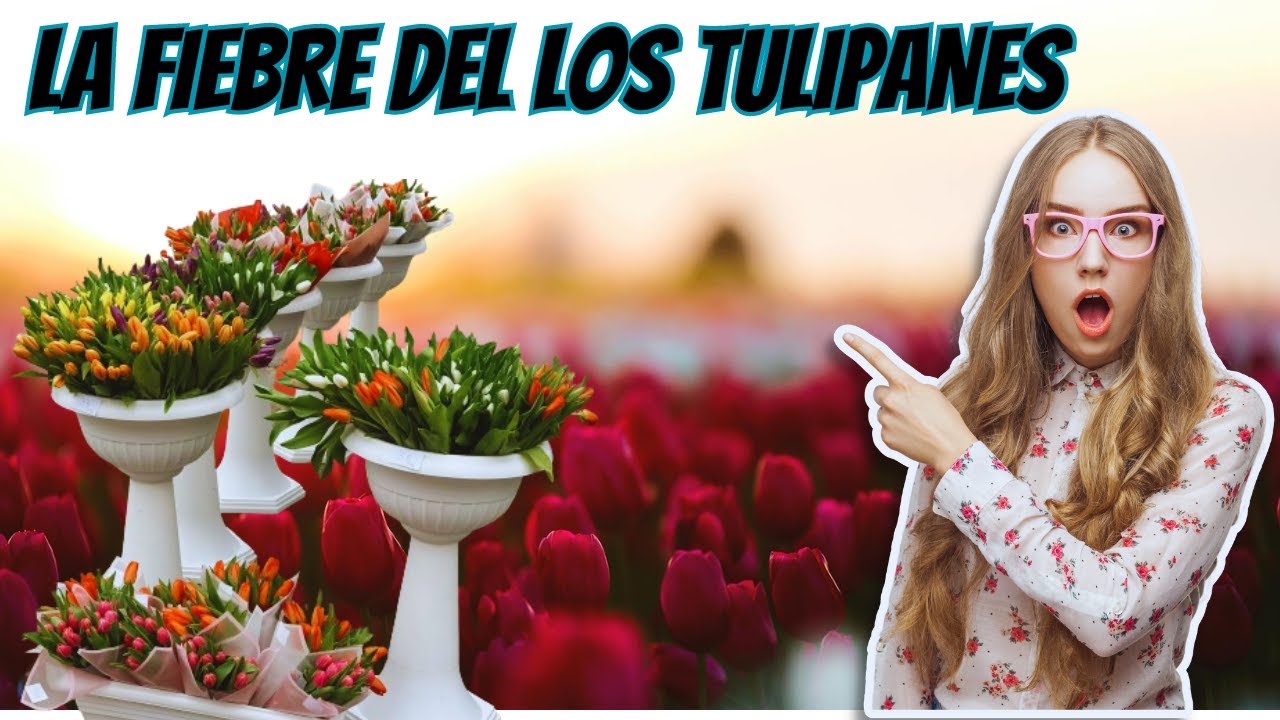 🌿🌹😃La Fiebre De Los Tulipanes #Beriflor