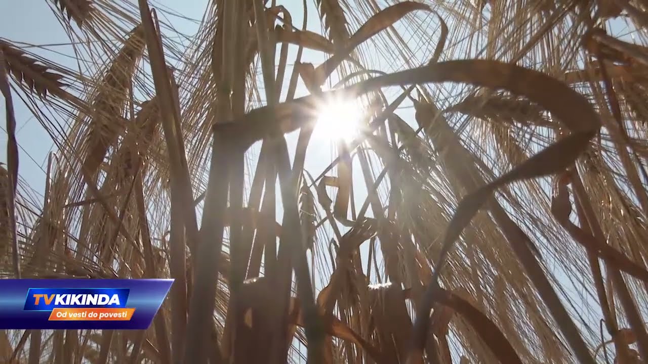 Do 1. aprila traje Javni poziv za ostvarivanje prava na osnovne podsticaje u biljnoj proizvodnji