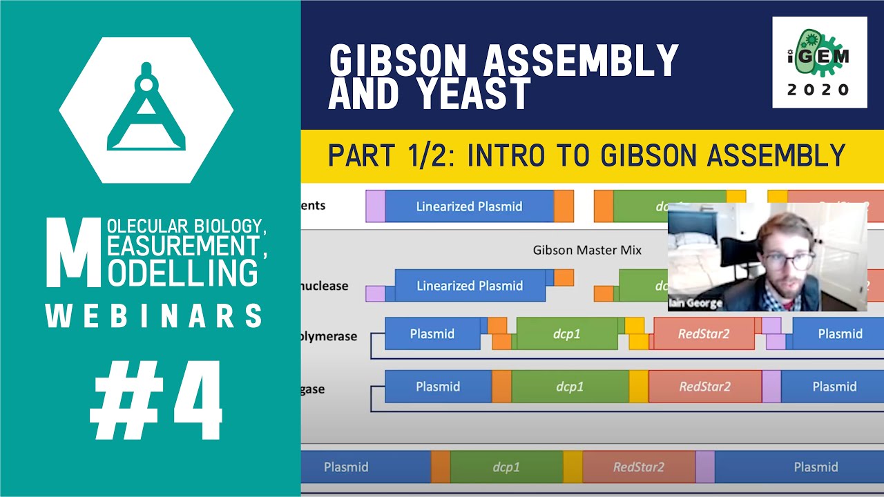 Week #4: Gibson Assembly and Yeast - Part 1/2 Gibson Assembly - iGEM 2020 Measurement Webinars