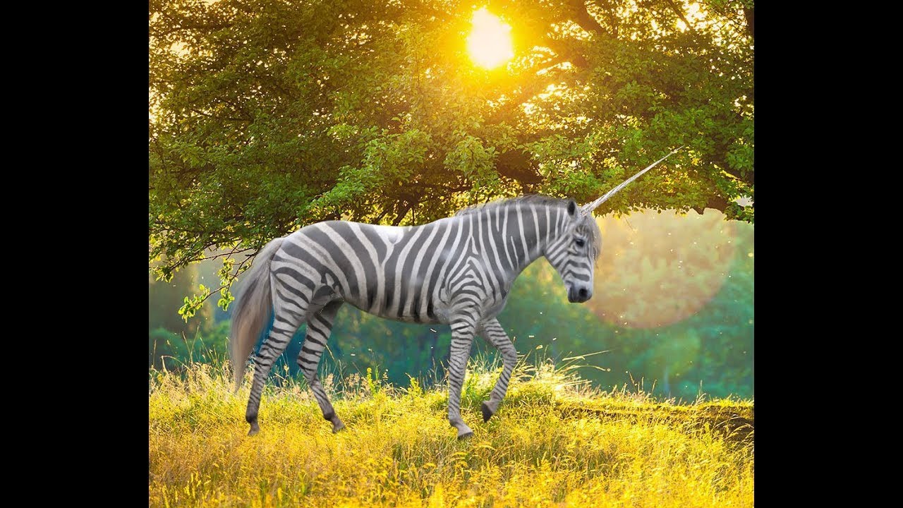 How to Create a Zebra Striped Unicorn in Pixlr