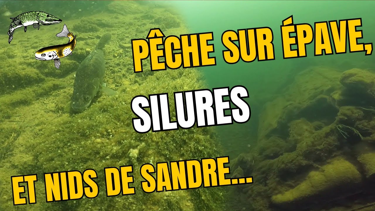 Sortie pêche et plongée