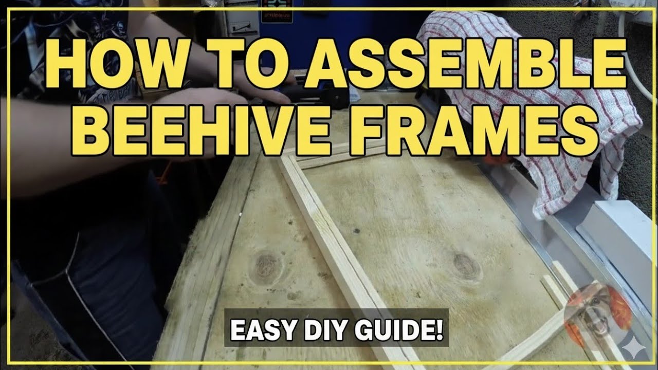 How To Assemble Beehive Frames with wired Foundation.