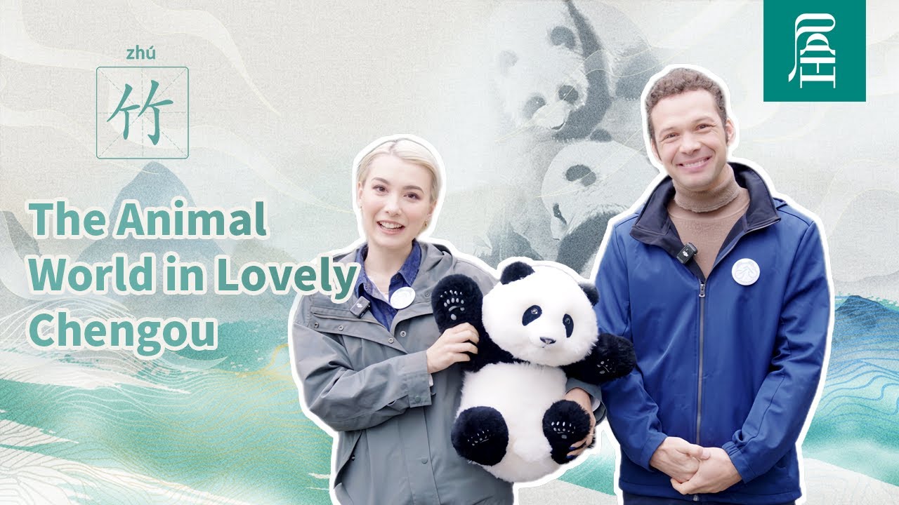 Chengdu's central axis-Panda