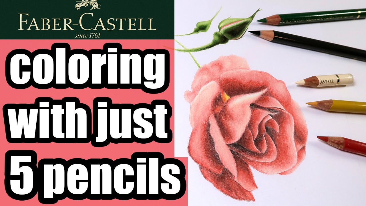How to Draw A Realistic Rose with colored pencils / Rose in Polychromos / Tutorial