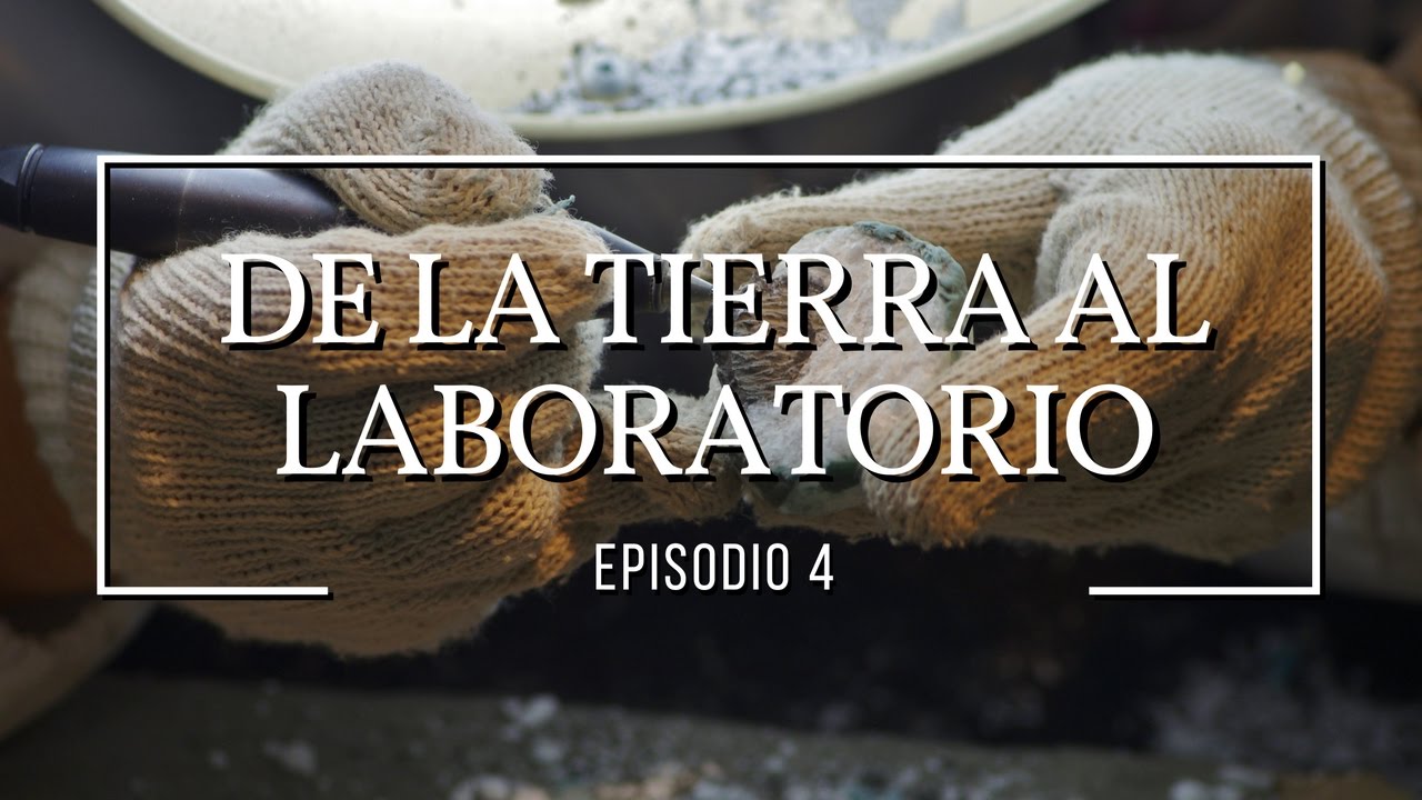 De la tierra al laboratorio: Dinosaurios #4
