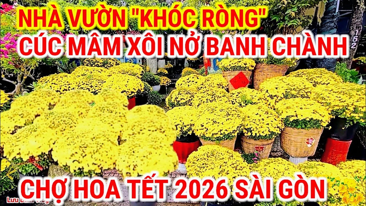 NHÀ VƯỜN 