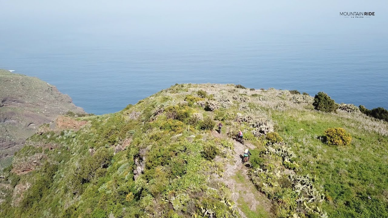 La Palma Jungle, with MountainRide. Rainforest Flow at its finest. Yeti Bikes, Ibis and Santa Cruz .