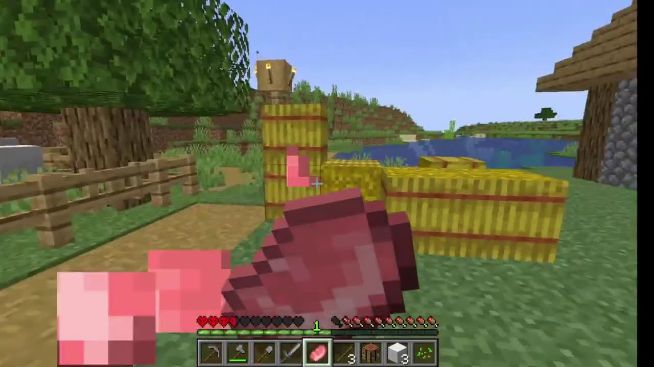 Minecraft Hardcore Projekt #001
